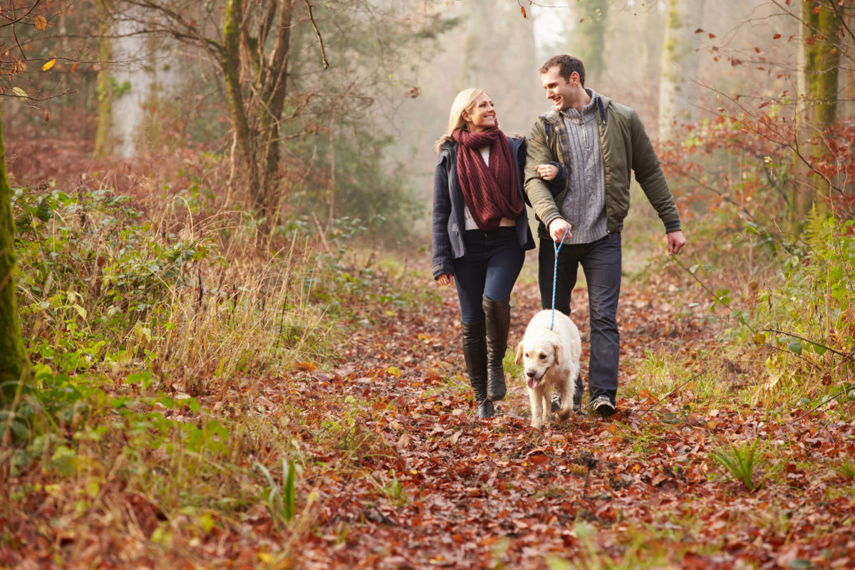 dating after 3rd date All kinds of things influence how you approach dating, but there are common sticking points experts believe that if you can identify your own pattern, and the thought processes behind it, you can change it for the better. dating after 3rd date All kinds of things influence how you approach dating, but there are common sticking points experts believe that if you can identify your own pattern, and the thought processes behind it, you can change it for the better.